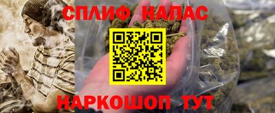 apvp Шелехов