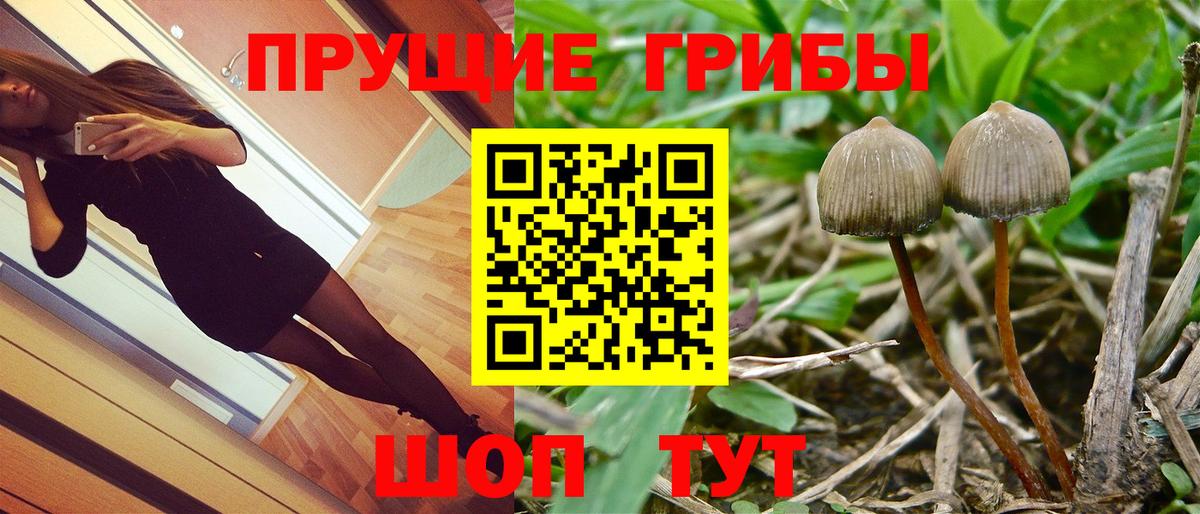 Псилоцибиновые грибы ЛСД  Галлюциногенные грибы мухоморы  Верхняя Пышма  Вход с VPN 