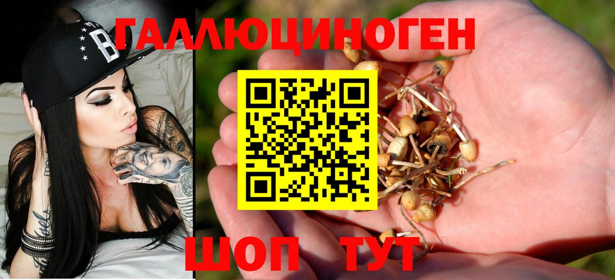 Галлюциногенные грибы прущие грибы Верхняя Пышма